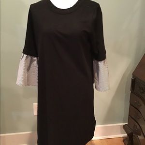 M Luxology knit dress with oxford belle sleeve